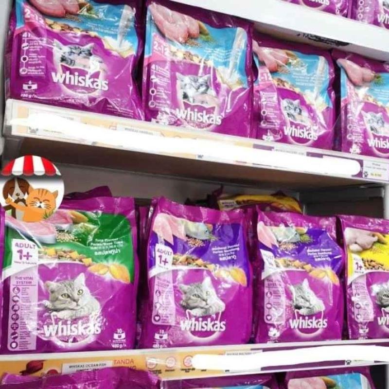 con gà trống đá lộn con gà trống đá lộn