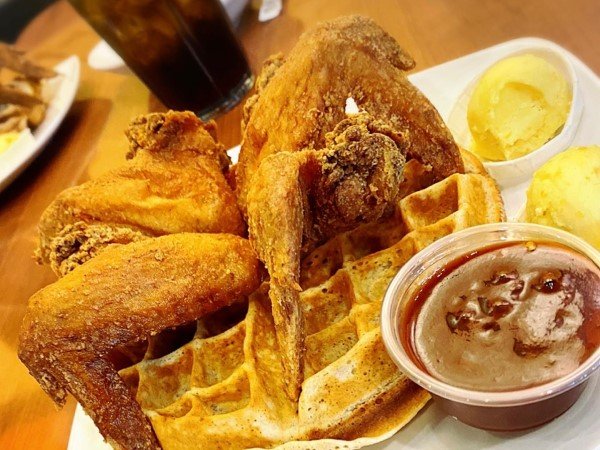 các bệnh thường gặp ở gà đá các bệnh thường gặp ở gà đá