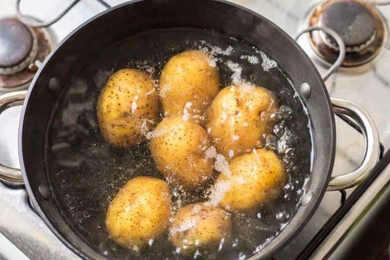 các dòng gà mỹ đá cựa tròn các dòng gà mỹ đá cựa tròn