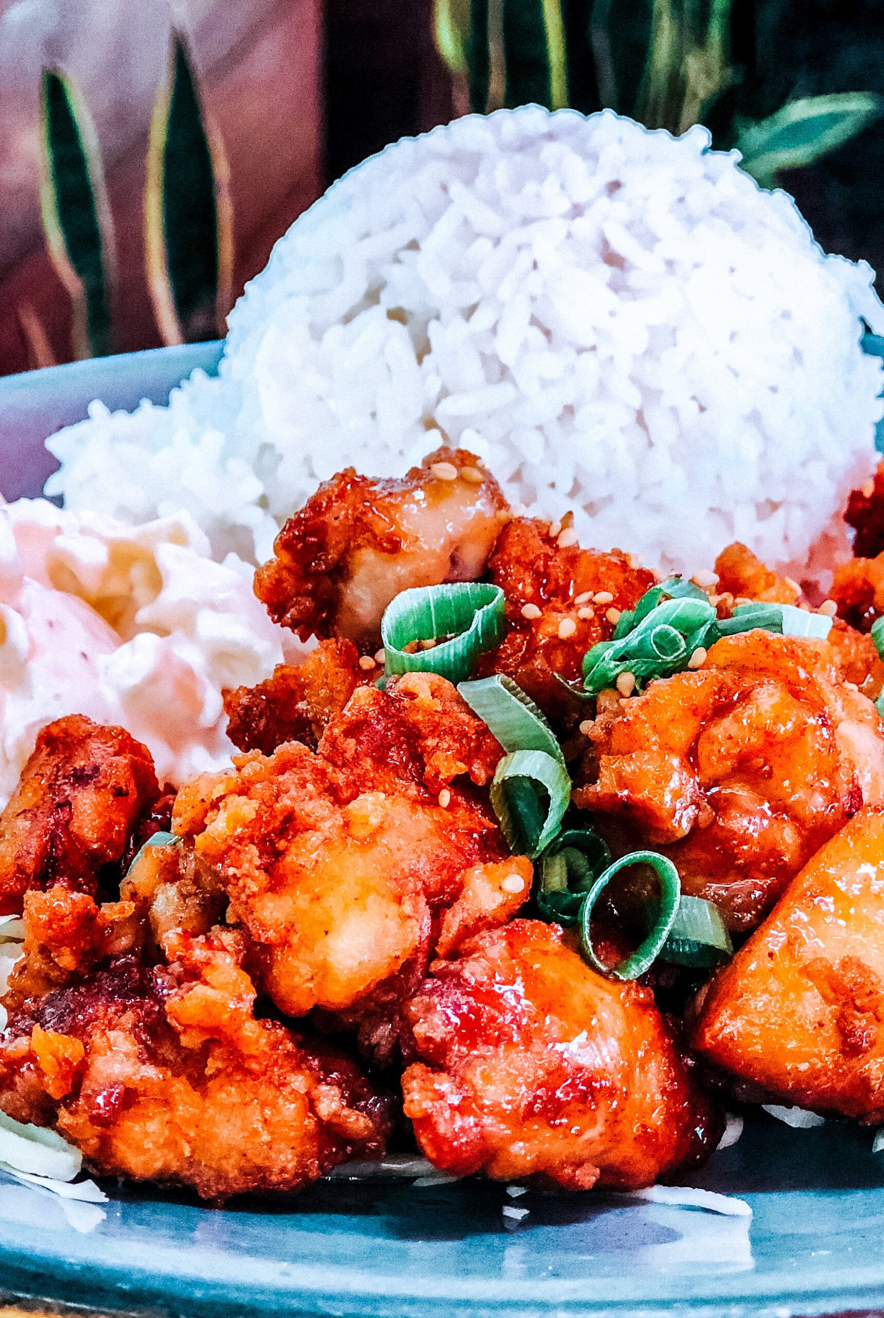 nghệ an phá sới đá gà thành công nghệ an phá sới đá gà thành công
