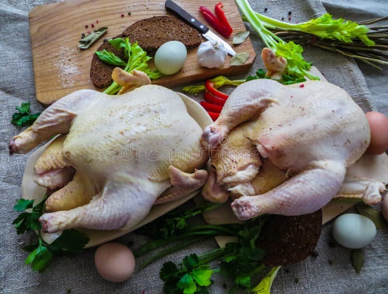 đá gà trực tiếp 247 đá gà trực tiếp 247