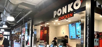gà đá vảy vấn sáo gà đá vảy vấn sáo