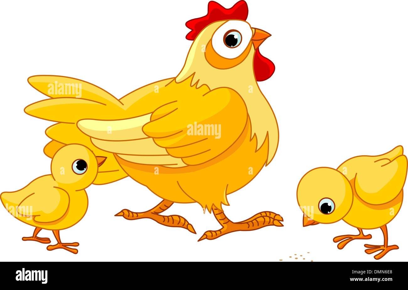cách nuôi gà tre đá bo lớn,Cách nuôi gà tre đá bo lớn cách nuôi gà tre đá bo lớn,Cách nuôi gà tre đá bo lớn