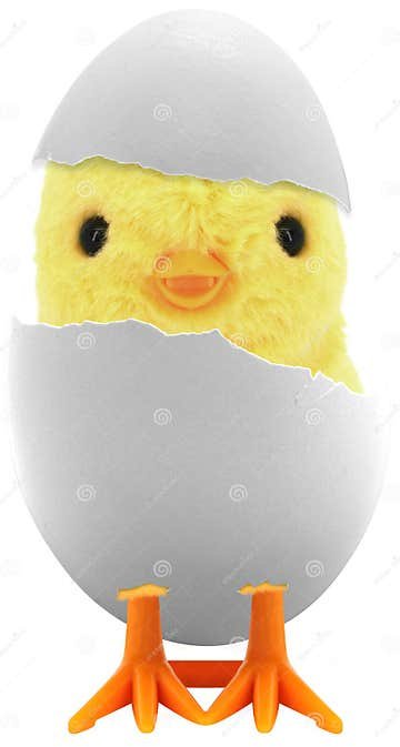 đá gà thomo ngày 1 tháng 9 năm 2019