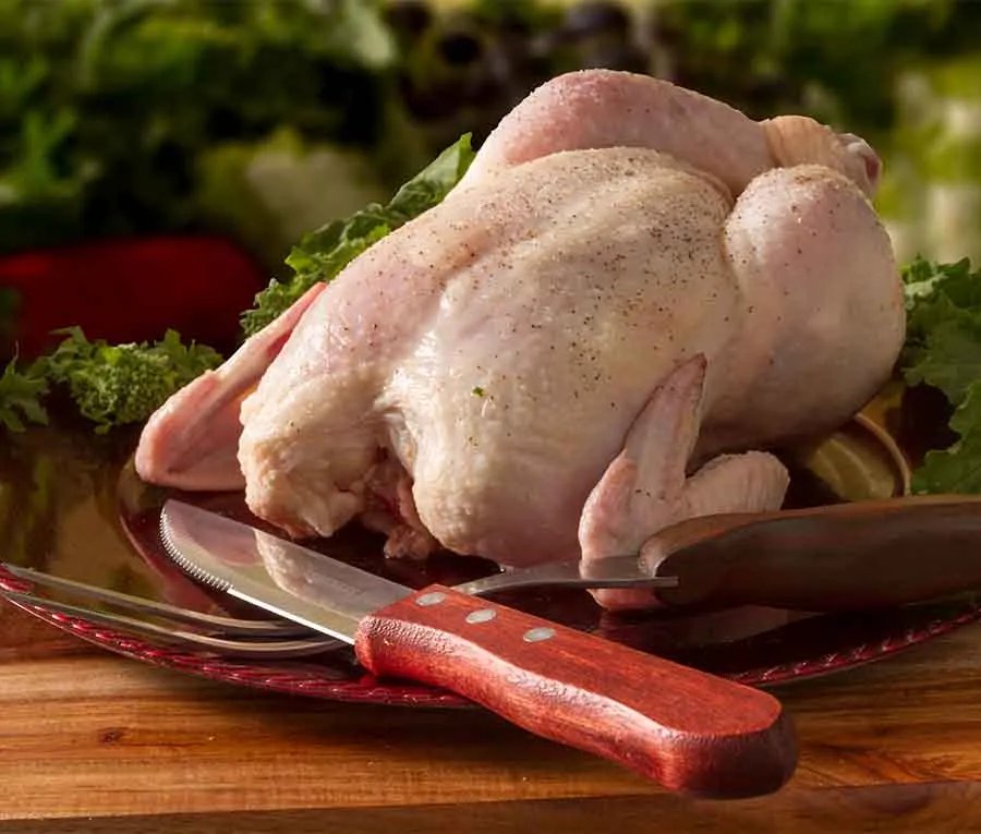 kỹ thuật nuôi gà đá kỹ thuật nuôi gà đá
