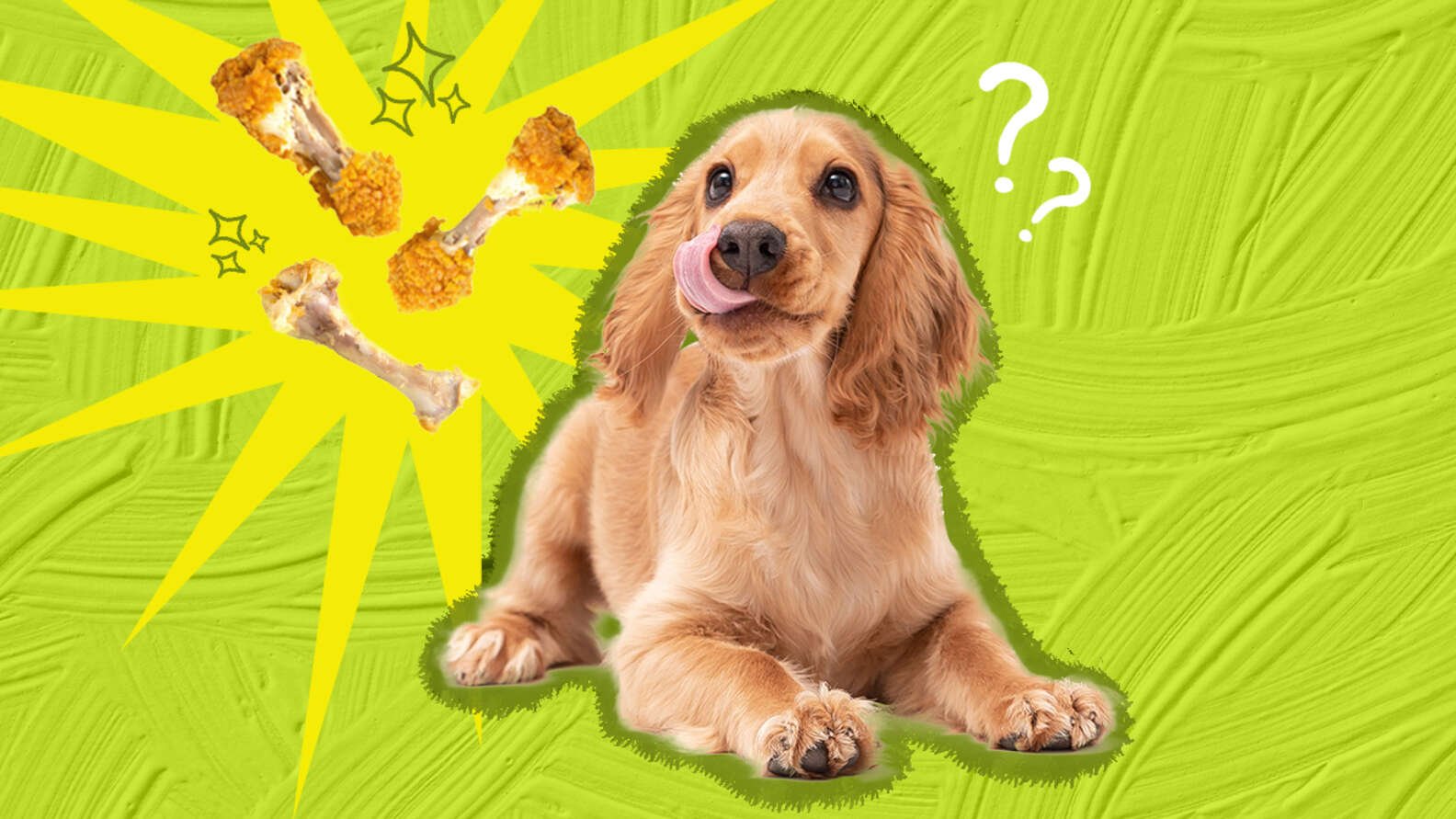màu lông gà đá cựa sắt