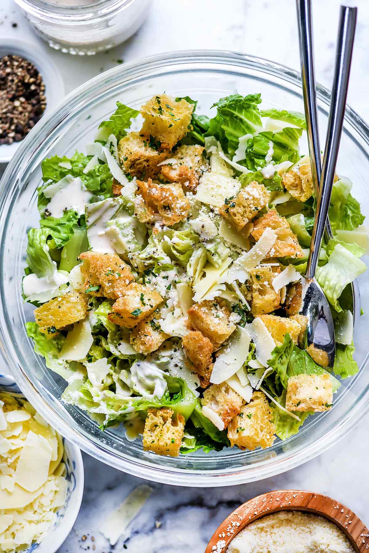 các giống gà đá mỹ